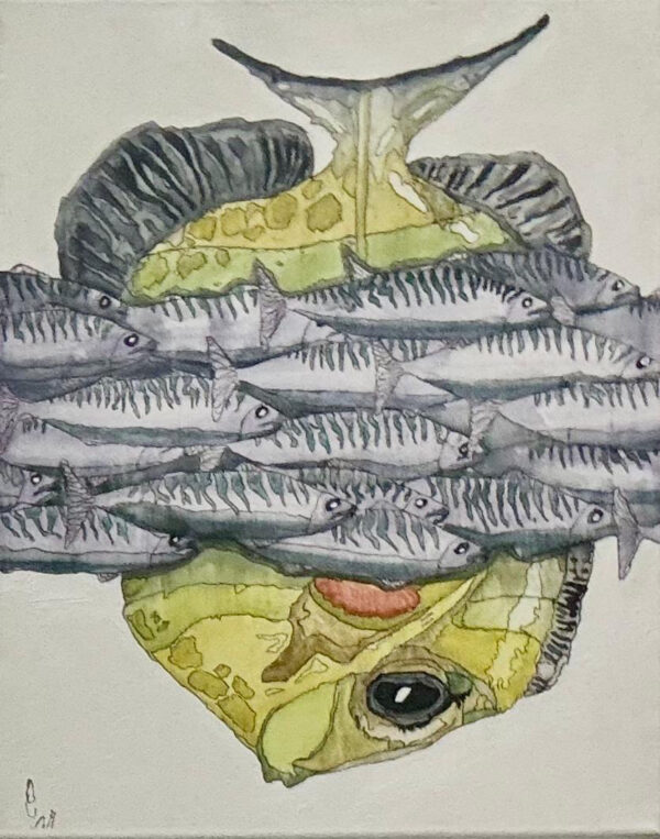 Passaggio sgombri